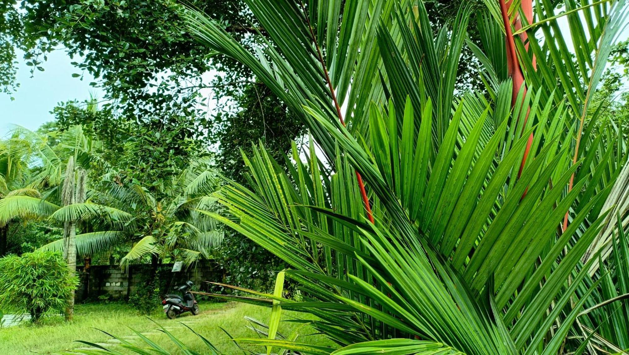 Angels' Homestay Marari 马拉利库兰 外观 照片