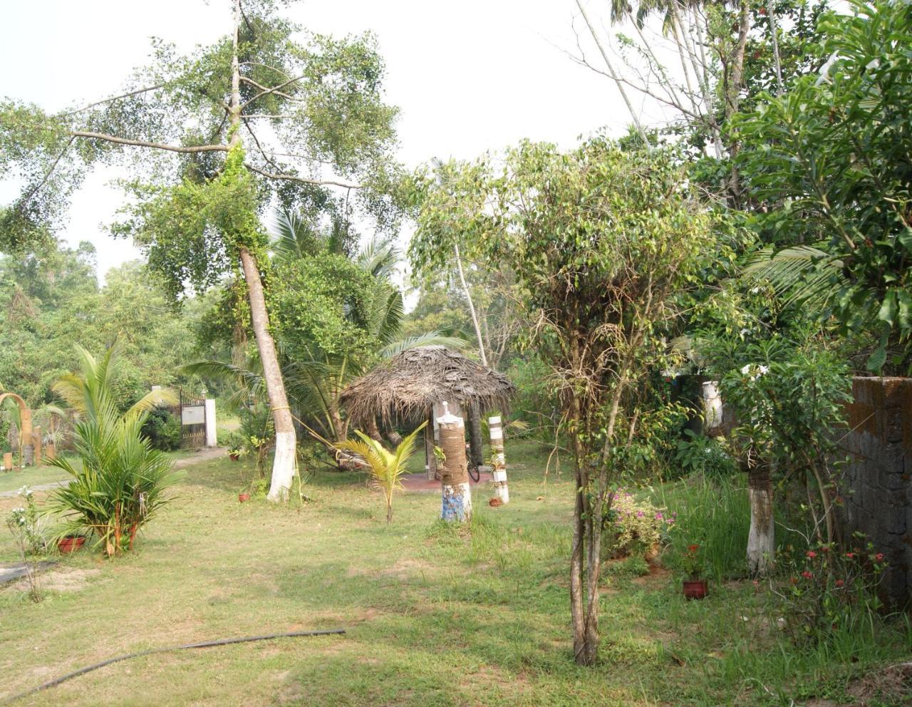 Angels' Homestay Marari 马拉利库兰 外观 照片